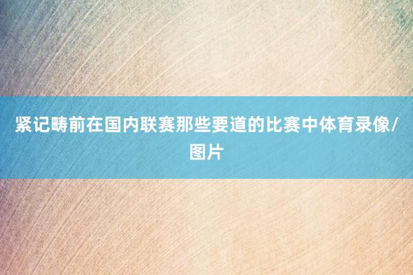 紧记畴前在国内联赛那些要道的比赛中体育录像/图片