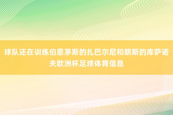 球队还在训练伯恩茅斯的扎巴尔尼和朗斯的库萨诺夫欧洲杯足球体育信息