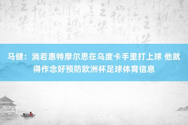 马健：淌若惠特摩尔思在乌度卡手里打上球 他就得作念好预防欧洲杯足球体育信息