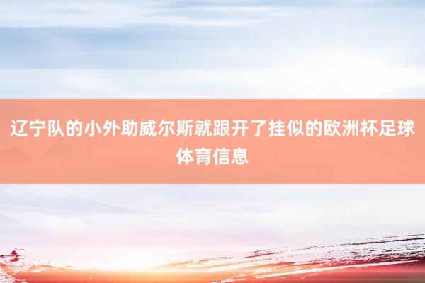 辽宁队的小外助威尔斯就跟开了挂似的欧洲杯足球体育信息