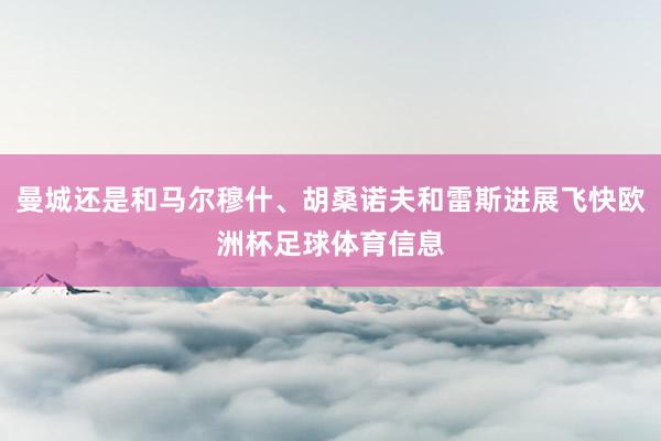 曼城还是和马尔穆什、胡桑诺夫和雷斯进展飞快欧洲杯足球体育信息