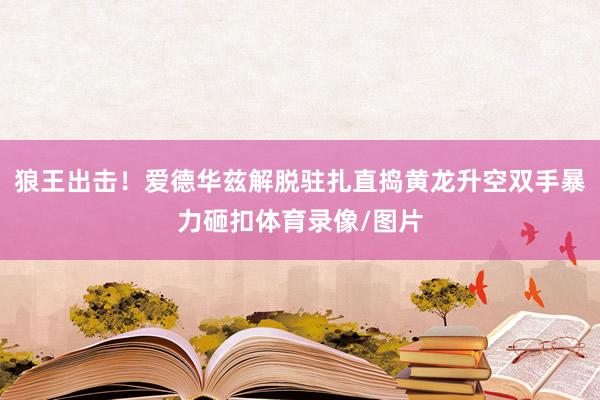 狼王出击！爱德华兹解脱驻扎直捣黄龙升空双手暴力砸扣体育录像/图片