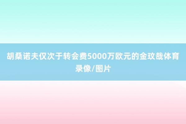 胡桑诺夫仅次于转会费5000万欧元的金玟哉体育录像/图片