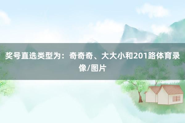 奖号直选类型为：奇奇奇、大大小和201路体育录像/图片