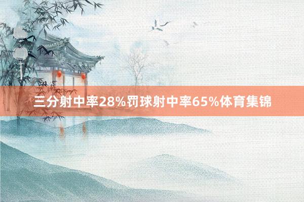 三分射中率28%罚球射中率65%体育集锦