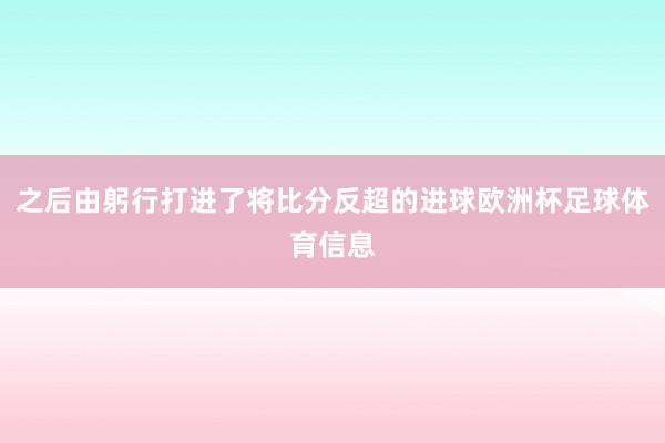 之后由躬行打进了将比分反超的进球欧洲杯足球体育信息