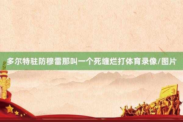 多尔特驻防穆雷那叫一个死缠烂打体育录像/图片