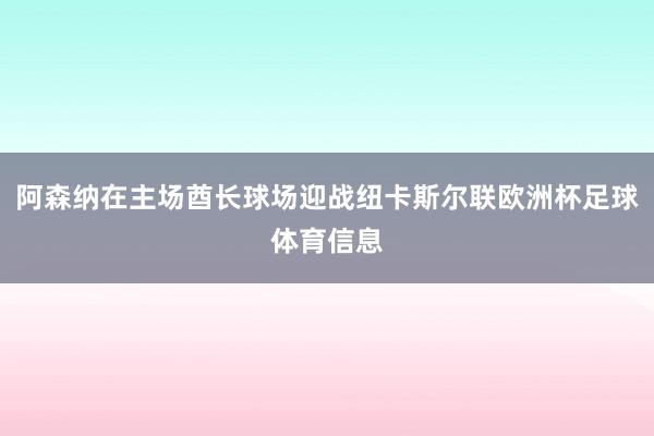 阿森纳在主场酋长球场迎战纽卡斯尔联欧洲杯足球体育信息