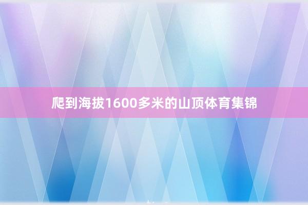 爬到海拔1600多米的山顶体育集锦