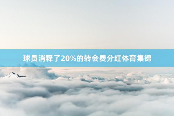 球员消释了20%的转会费分红体育集锦