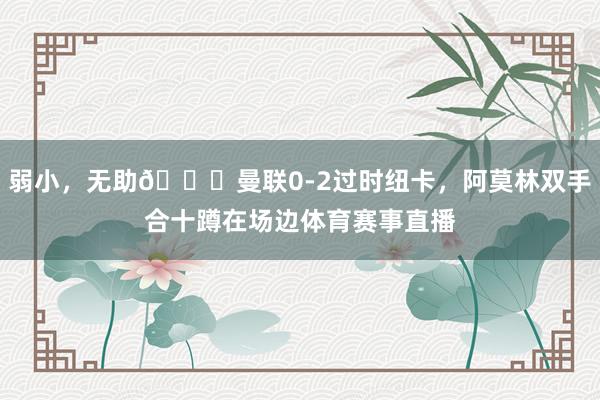 弱小,无助😖曼联0-2过时纽卡,阿莫林双手合十蹲在场边体育赛事直播
