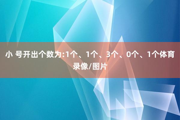 小 号开出个数为:1个、1个、3个、0个、1个体育录像/图片