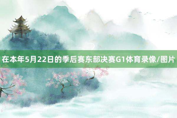 在本年5月22日的季后赛东部决赛G1体育录像/图片