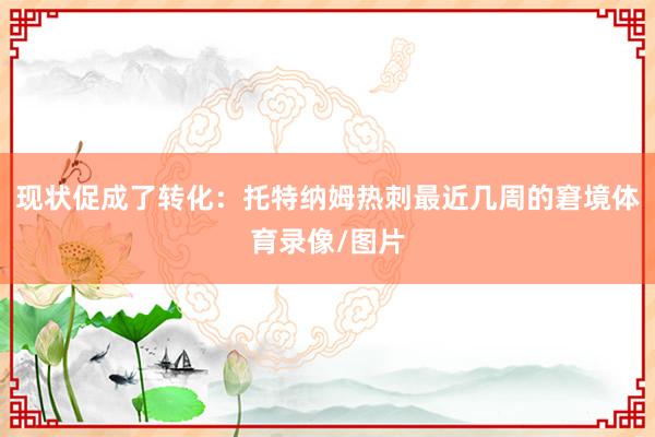 现状促成了转化：托特纳姆热刺最近几周的窘境体育录像/图片