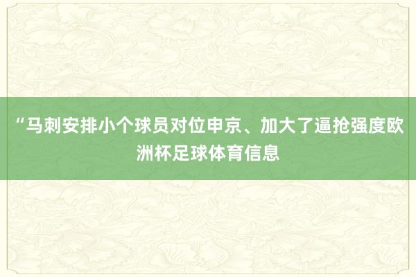 “马刺安排小个球员对位申京、加大了逼抢强度欧洲杯足球体育信息